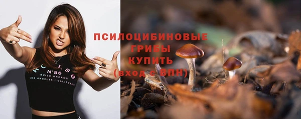 гидропоника Коряжма