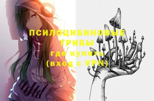 тгк Краснослободск
