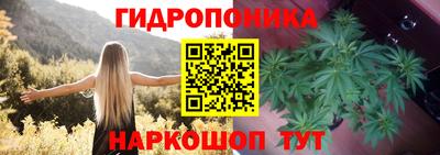 сатива Владикавказ