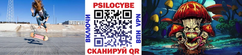 блэк спрут как зайти  Кинешма  Галлюциногенные грибы Psilocybe  хочу  