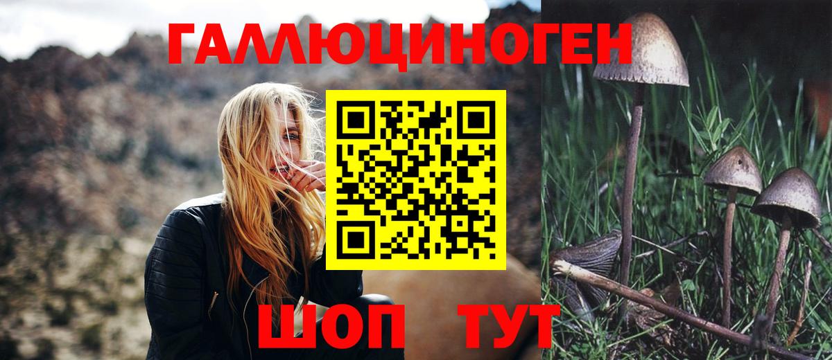 Псилоцибиновые грибы Psilocybe Кинешма